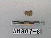 藏品(灰褐色夾砂陶片)的圖片
